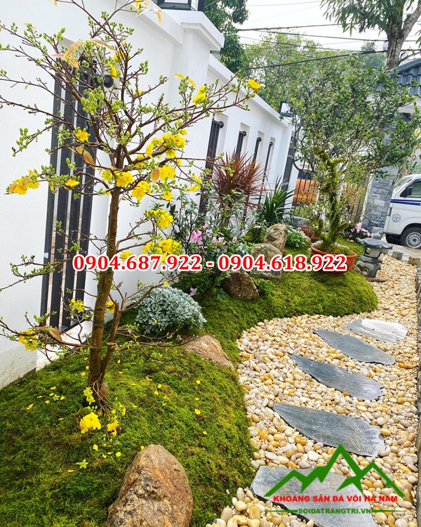 Sỏi cuội vàng rải lối đi sân vườn