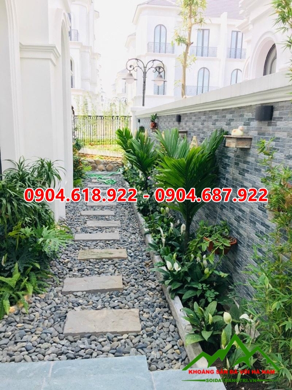 Da-buoc-dao-sa-thach (23)