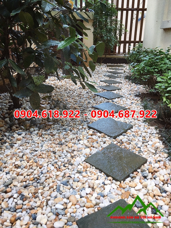 Da-buoc-dao-sa-thach (75)