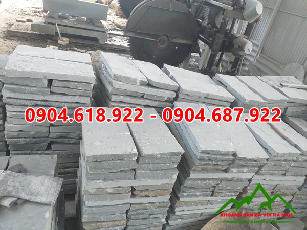 Da-buoc-dao-sa-thach (77)