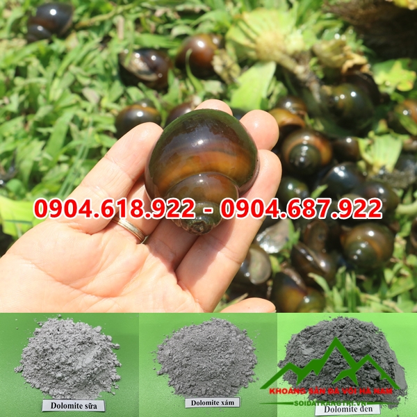 Dolomite-nuoi-oc-buou