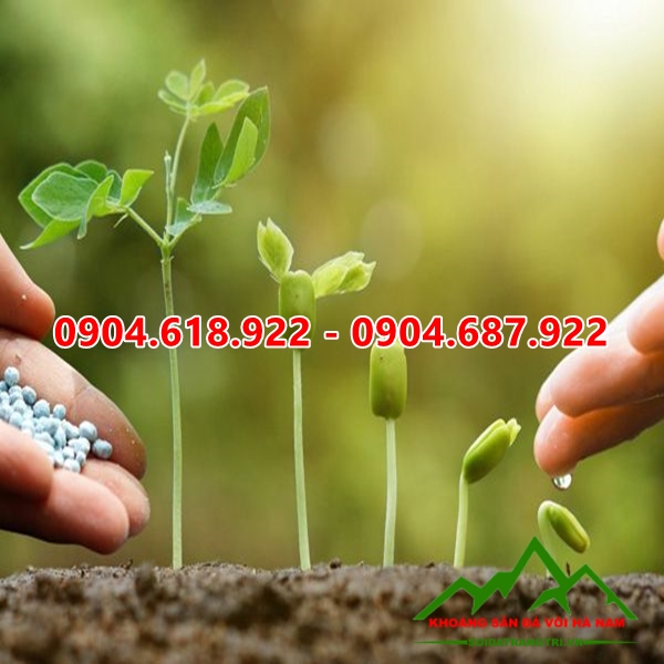 Dolomite-san-xuat-phan-bon (1)