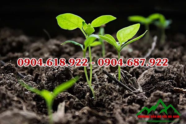 Bentonite-san-xuat-phan-bon (3)