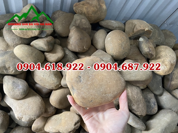 Soi-vang-trang-tri (2)