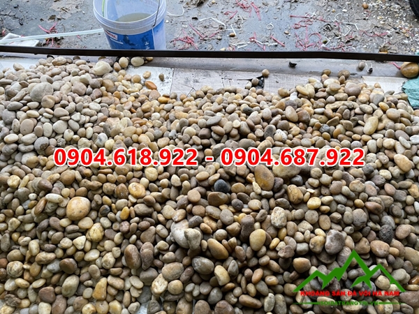 Soi-vang-trang-tri (3)