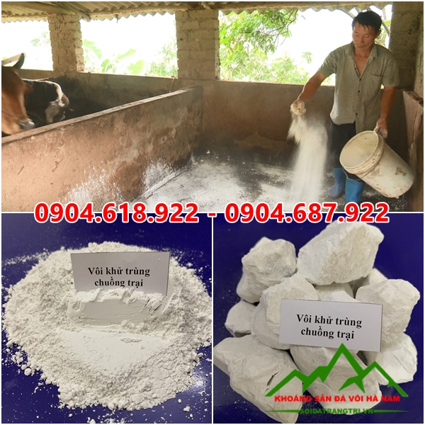 Voi-khu-trung-chuong-trai (2)