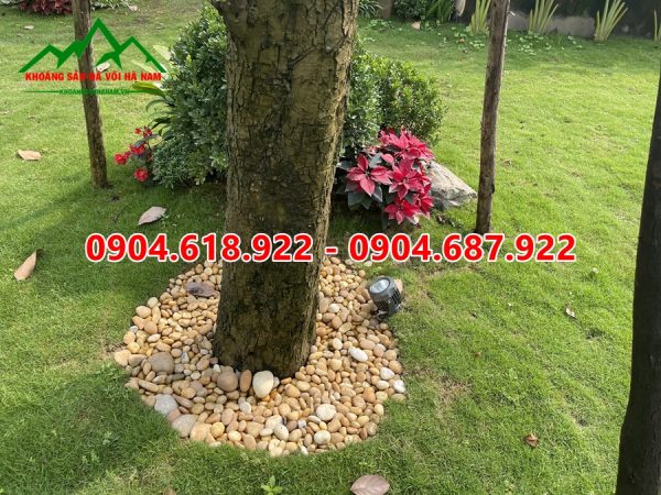 soi-rai-san-vuon (100)