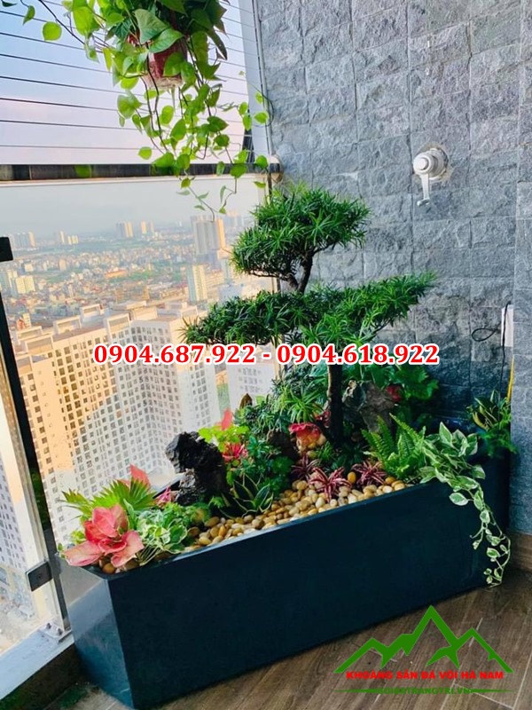 sỏi vàng trang trí chậu cây cảnh