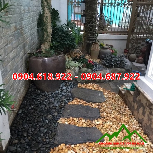 soi-rai-san-vuon (117)