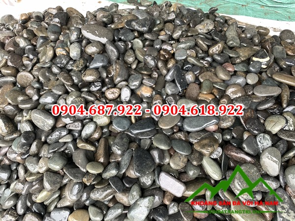 sỏi đen