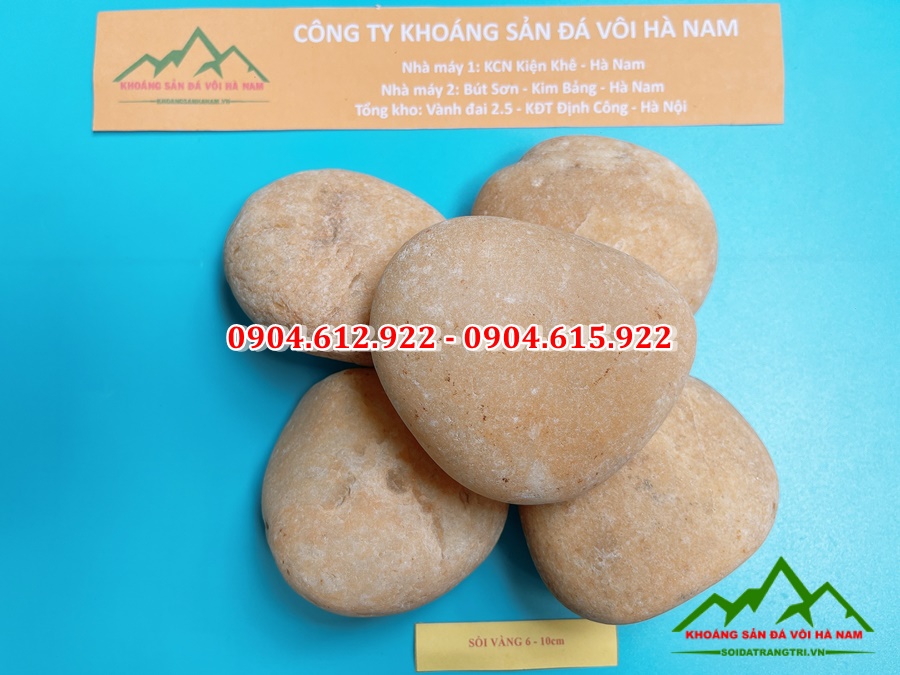 sỏi vàng tự nhiên 6-10cm