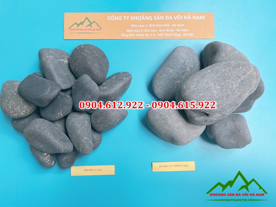 sỏi cuội