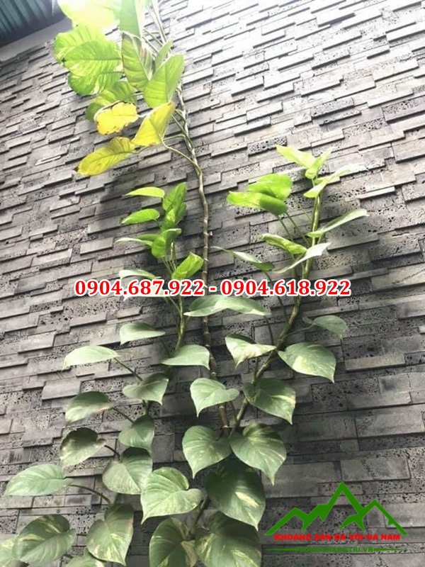 tường đá ghép ong xám