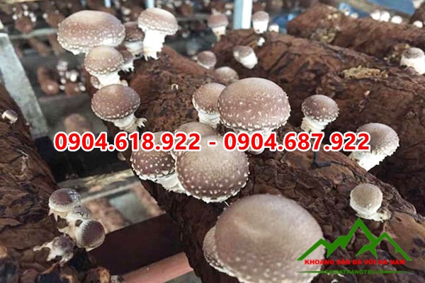 Bot-da-nhe-trong-nam (1)