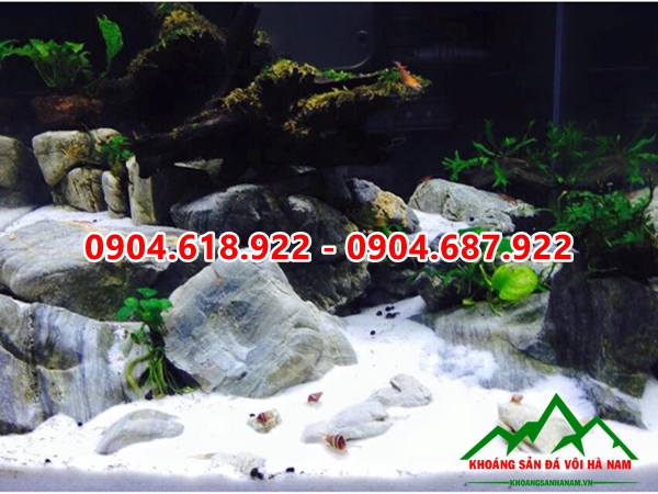 Cat-trang-thuy-sinh (2)