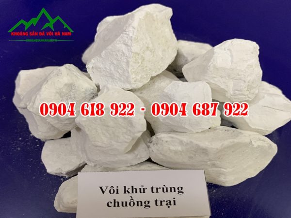 voi-cuc-khu-trung (1)