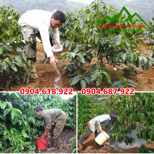 Dolomite-nong-nghiep (5)