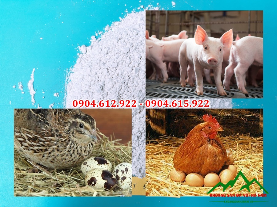 bột đá CaCO3 cho sản xuất thức ăn chăn nuôi