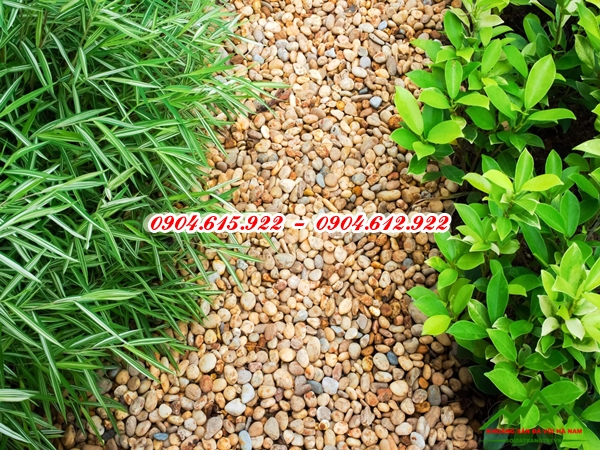 đá cuội cảnh quan - KSDVHN