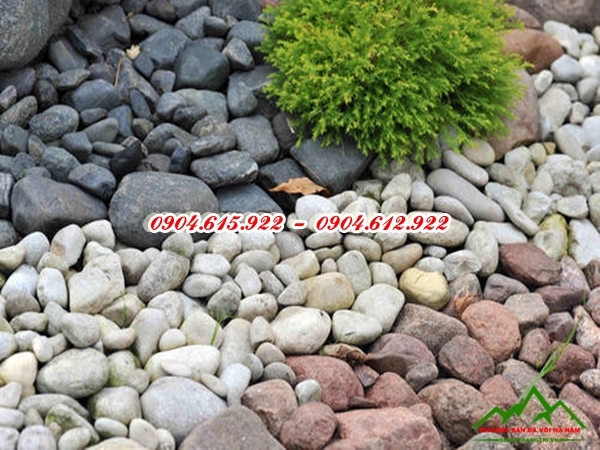 đá cuội cảnh quan - KSDVHN1
