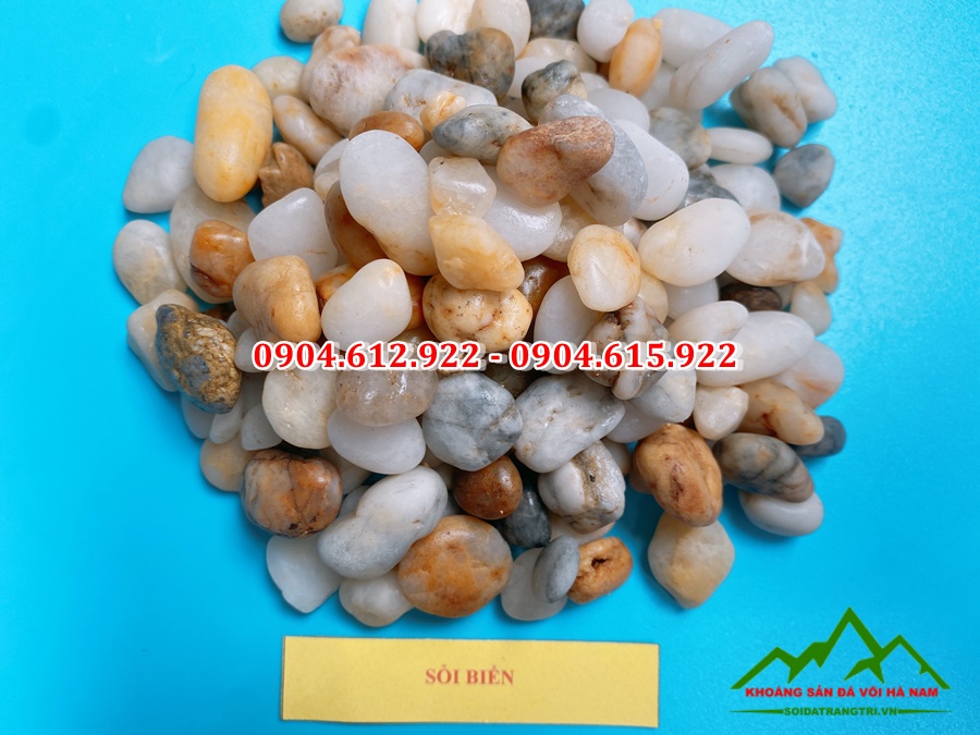 báo giá sỏi biển thiên nhiên