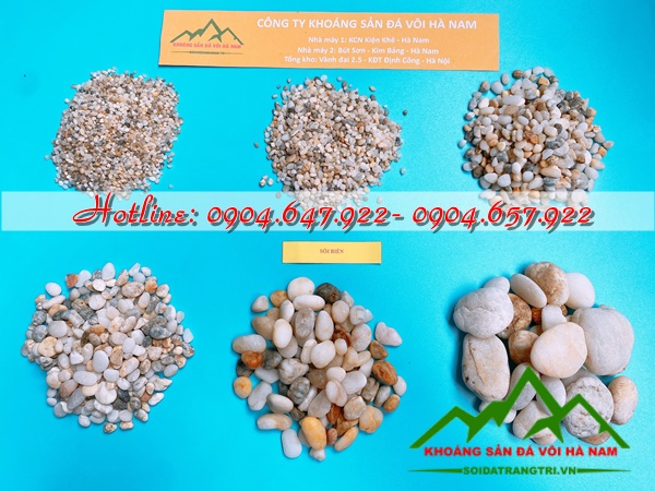 bán sỏi cuội