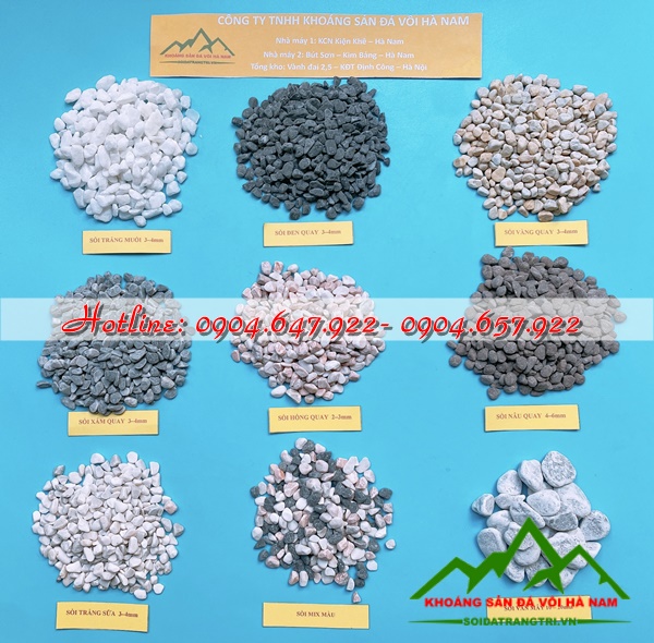 bán sỏi cuội