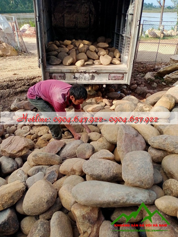 bán sỏi cuội