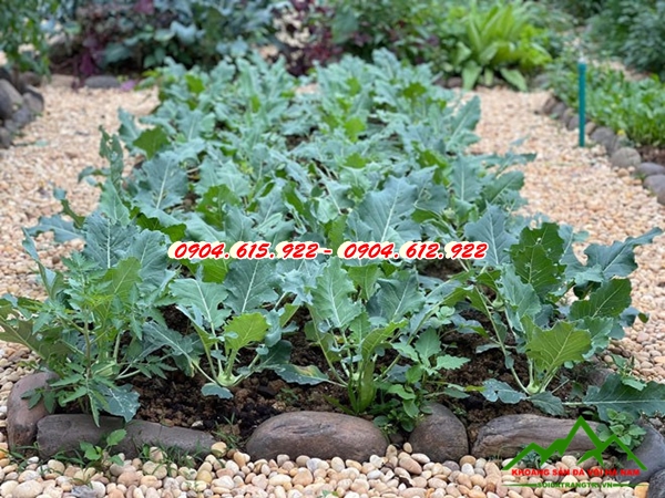 đá cuội cảnh quan - KSDVHN4