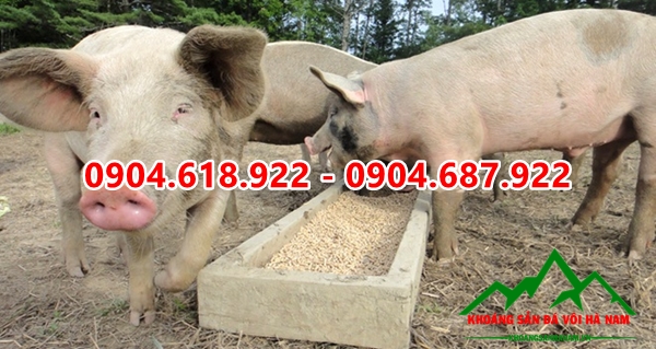 Bot-da-san-xuat-cam (4)