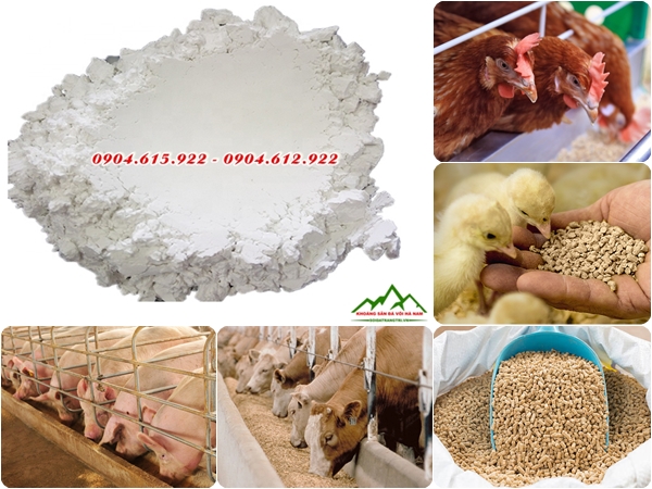 Bột đá ngành chăn nuôi - DVHN