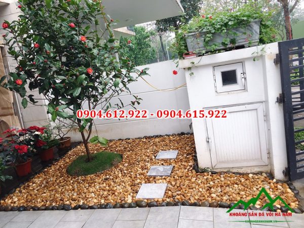 sỏi vàng tự nhiên trang trí sân vườn