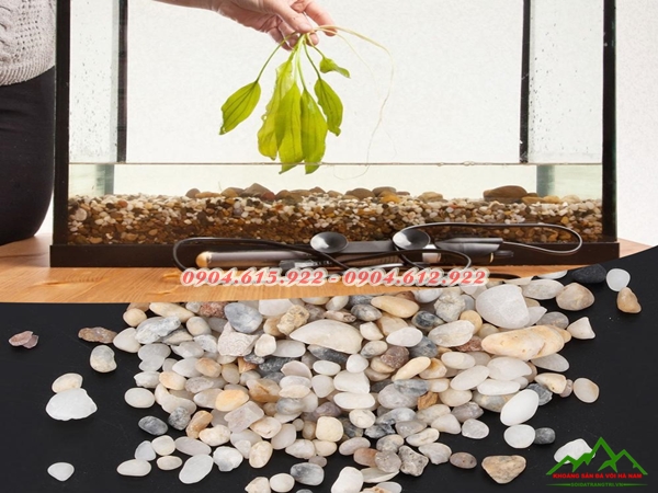 sỏi biển Hà Nội - 0904615922