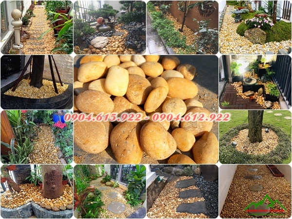 Sỏi vàng trang trí Hà Nội