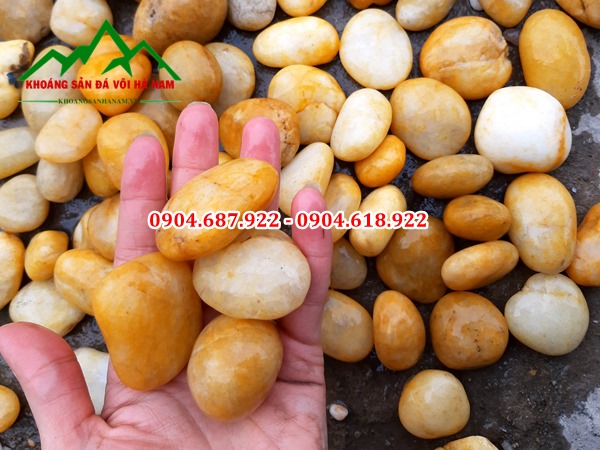 sỏi cuội vàng
