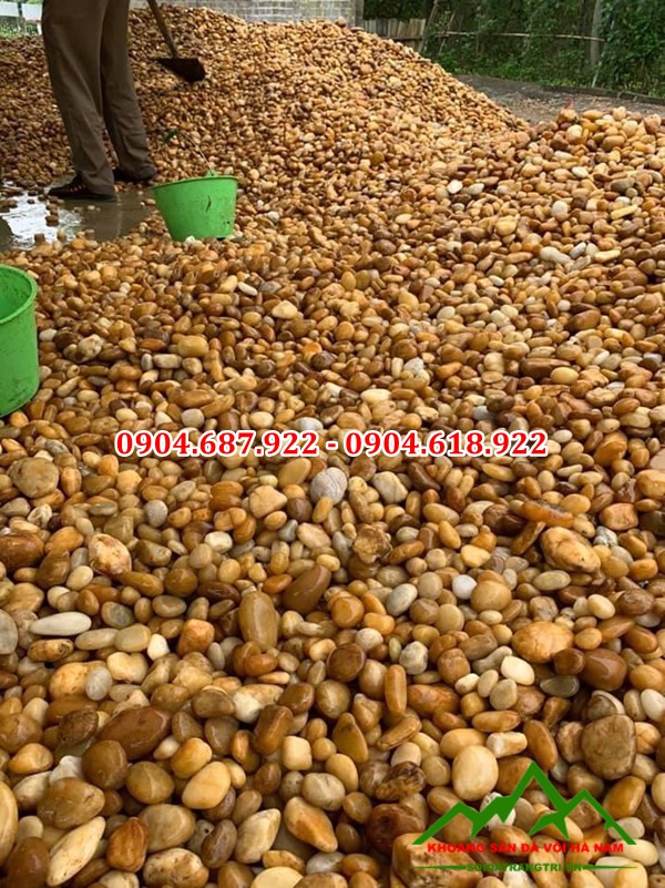 cung cấp sỏi vàng tự nhiên