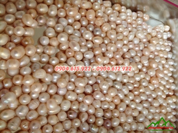 công dụng ngọc trai thô - Bán tại hà nội3