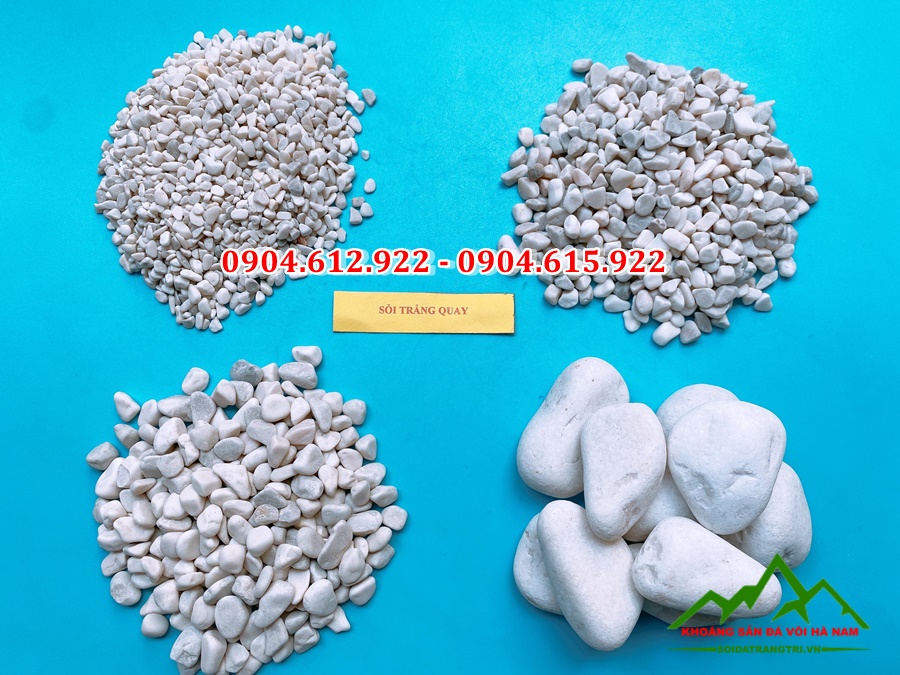 sỏi trắng sữa quay