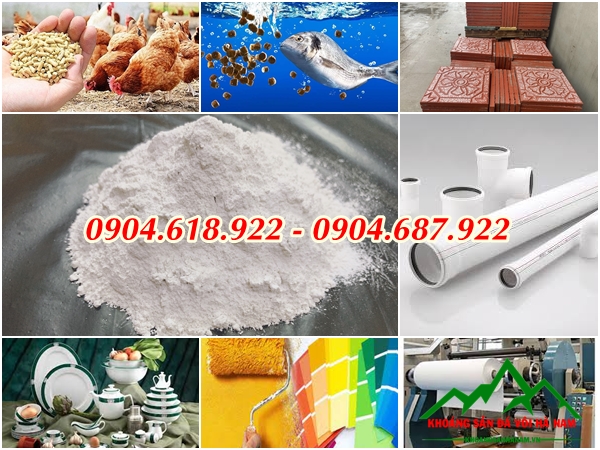 ung-dung-cua-da-voi-trong-doi-song (1)