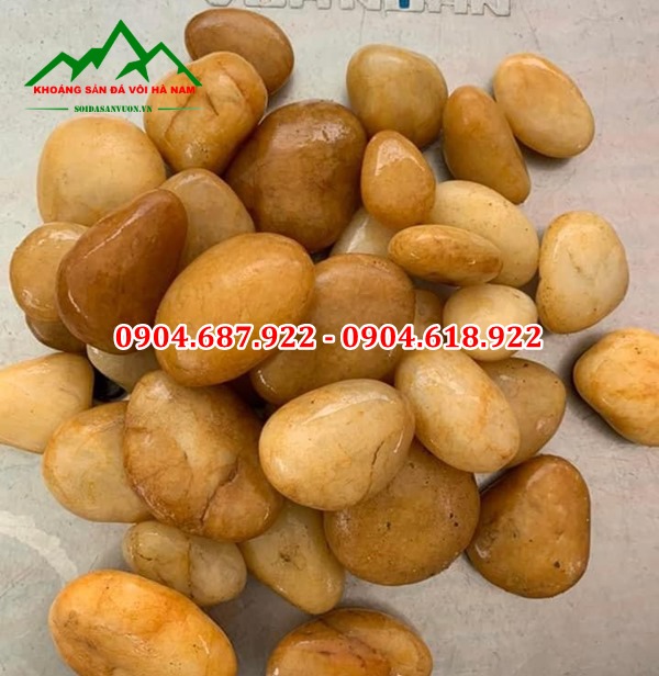 bán sỏi trang trí