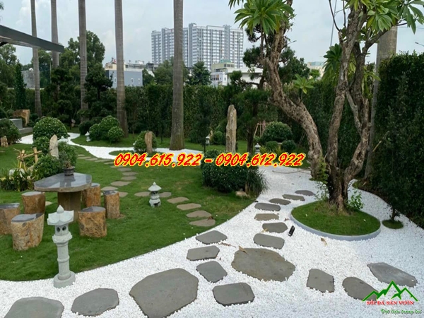 mua-soi-trang-tri-san-vuon-dep-o-dau