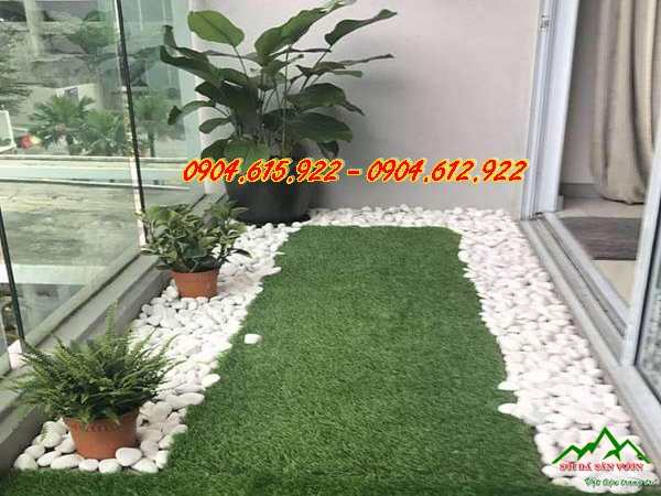 gia-soi-rai-ban-cong