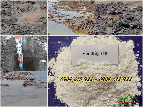 cong-dung-cua-voi-doi-voi-ao-nuoi-trong-thuy-san