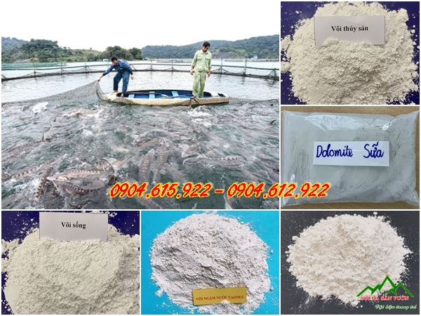 huong-dan-su-dung-voi-trong-ao-nuoi-thuy-san