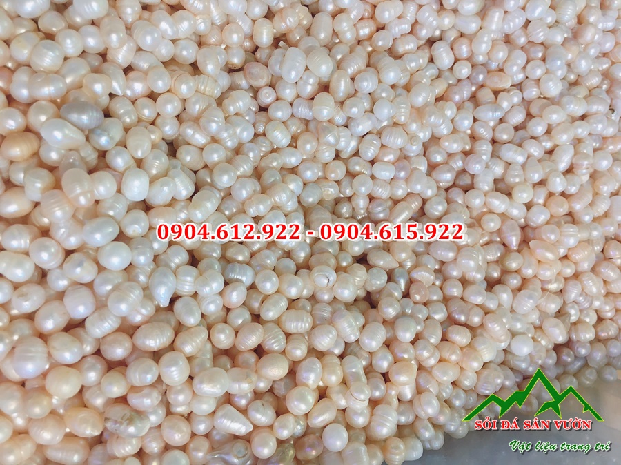 cửa hàng bán ngọc trai thô