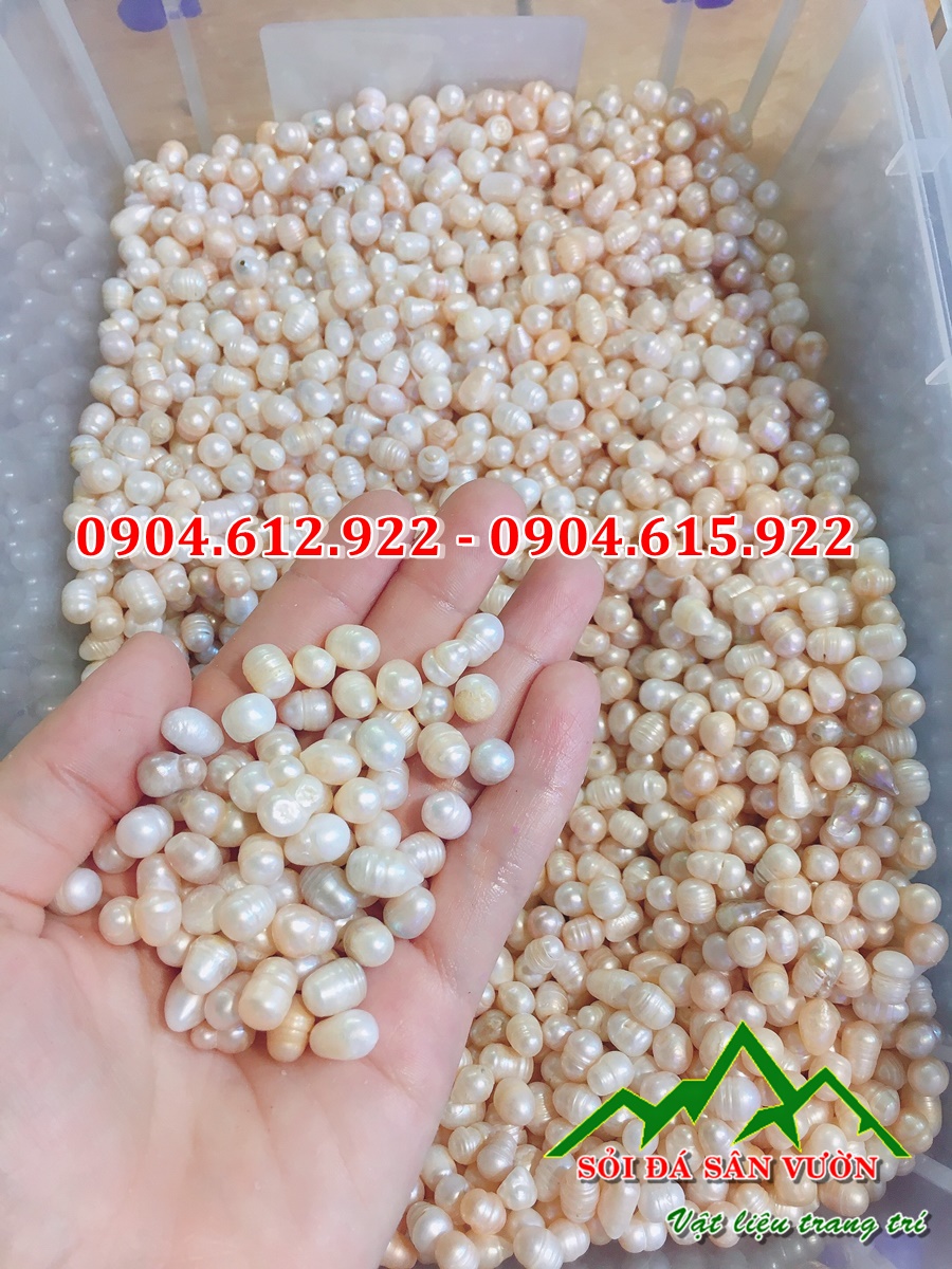 địa chỉ bán ngọc trai thô