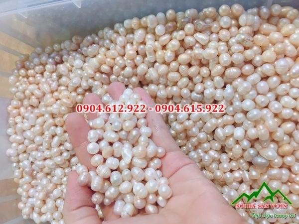 địa chỉ bán ngọc trai thô tại hà nội