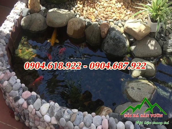 co-nen-rai-soi-trong-ho-ca-koi-hay-khong (1)