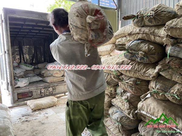 tổng kho sỏi trang trí sân vườn