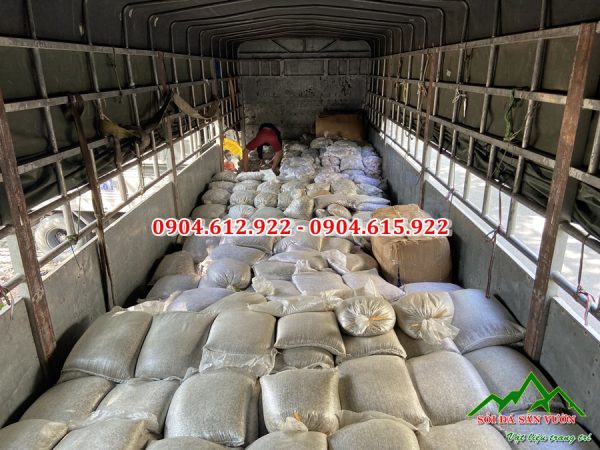 tổng kho sỏi biển